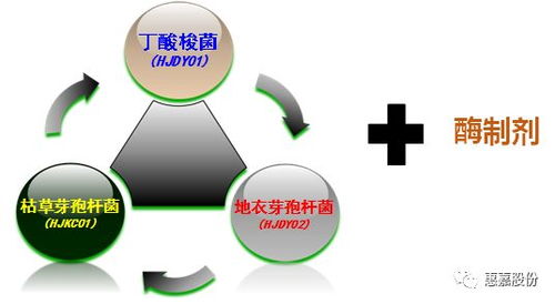 當(dāng)益畜美遇上飼諾肥,氨氣沒(méi)有了,豬也肥壯了
